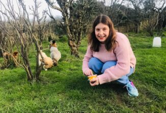 Chickens for People with Spectrum Disorders